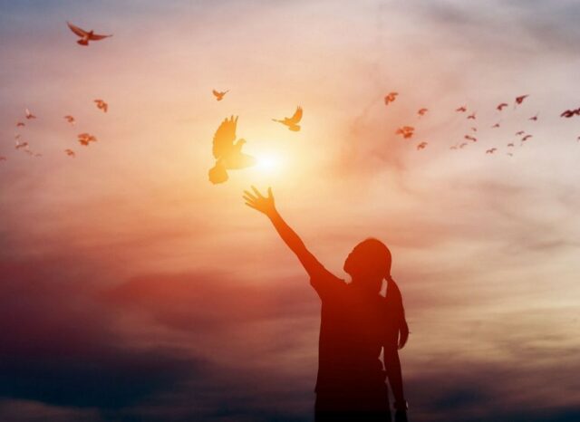 Silhouette tendant la main vers un oiseau